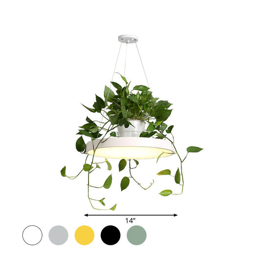 Brooklyn - Round Macaron Hanging Light Acrylic Led Pendant Lighting Fixture In Black/Grey/White