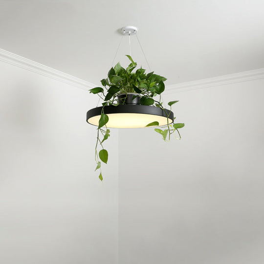 Brooklyn - Round Macaron Hanging Light Acrylic Led Pendant Lighting Fixture In Black/Grey/White