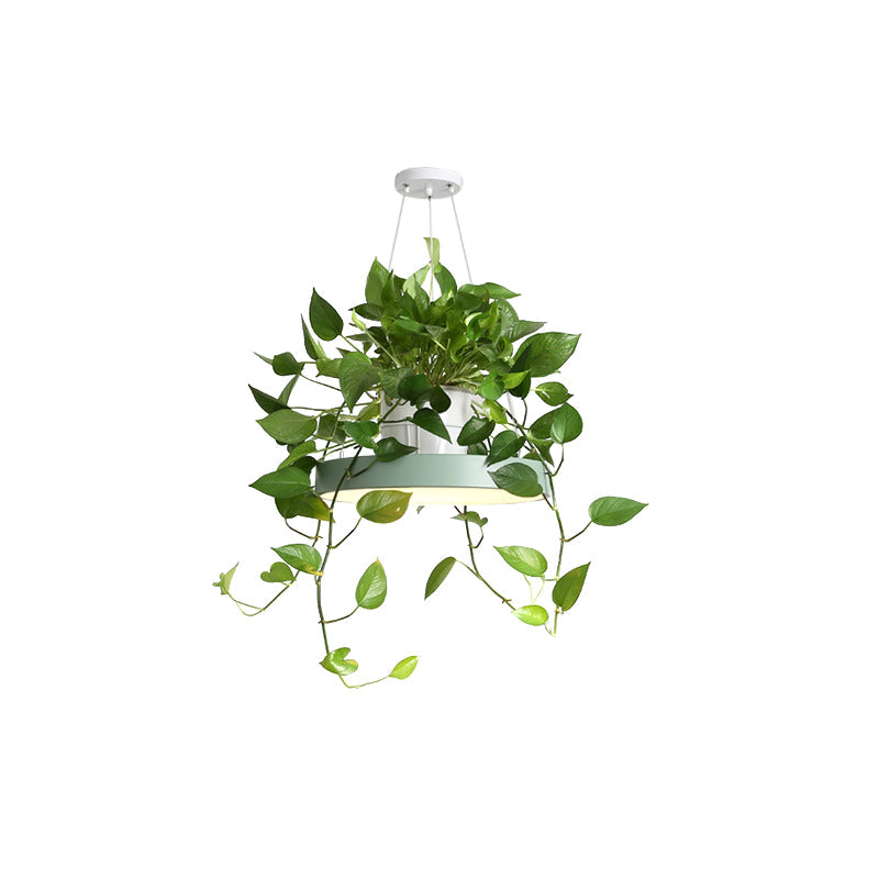 Brooklyn - Round Macaron Hanging Light Acrylic Led Pendant Lighting Fixture In Black/Grey/White