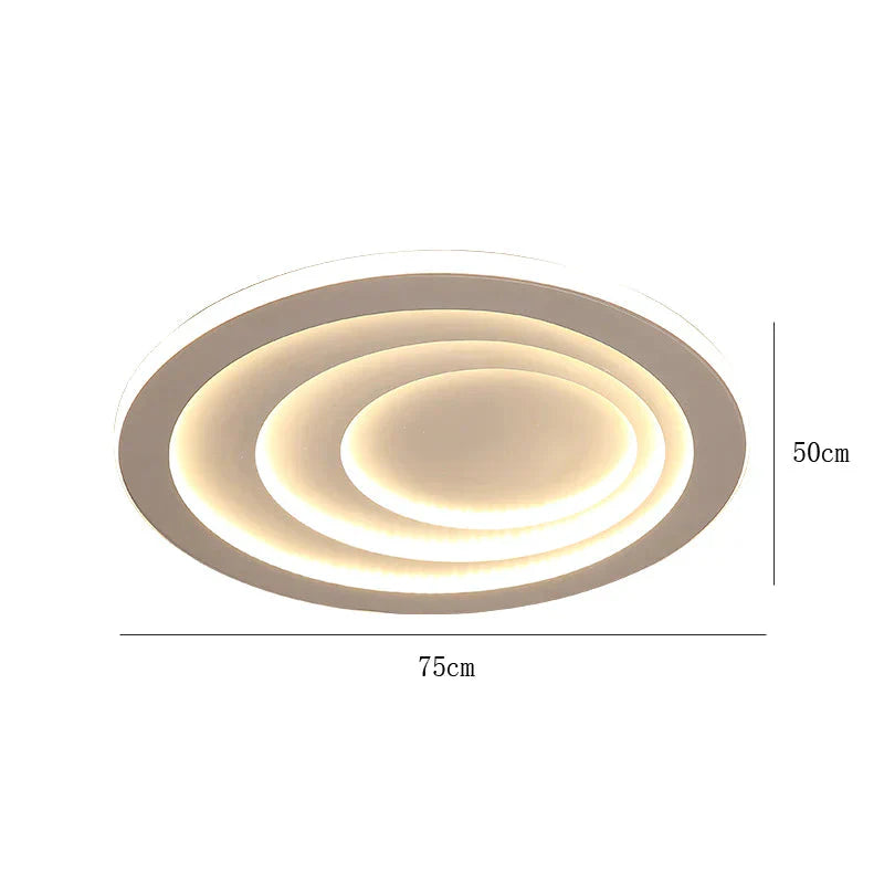 Led Ceiling Lamp Simple Modern Atmosphere Household Living Room Oval Light In The Bedroom Oval -