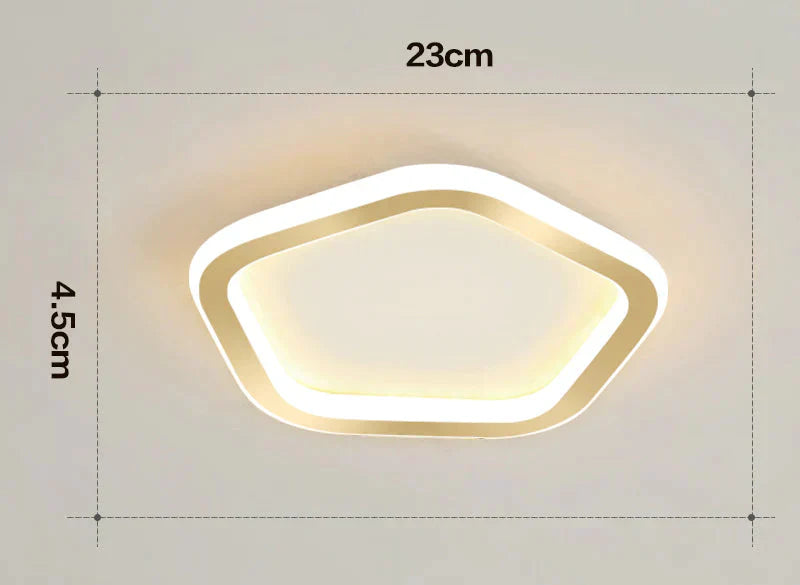Simple Ceiling Lamp Personalized Creativity Ultra - Thin Corridor Light Luxury Cloakroom Led Anode