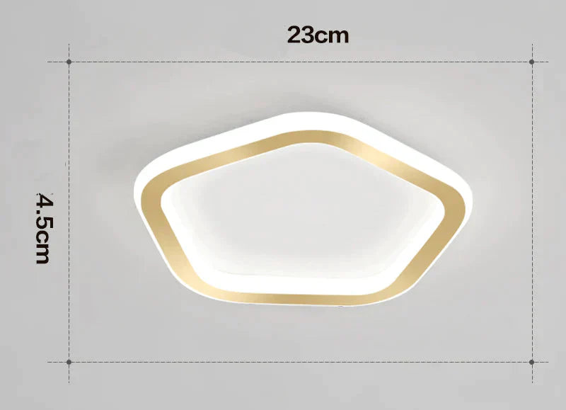 Simple Ceiling Lamp Personalized Creativity Ultra - Thin Corridor Light Luxury Cloakroom Led Anode