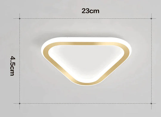 Simple Ceiling Lamp Personalized Creativity Ultra - Thin Corridor Light Luxury Cloakroom Led Anode