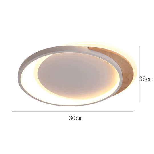 Ceiling Lamp Bedroom Creative Circular Modern Simple Study Nordic Home Warm Romantic Room White / L