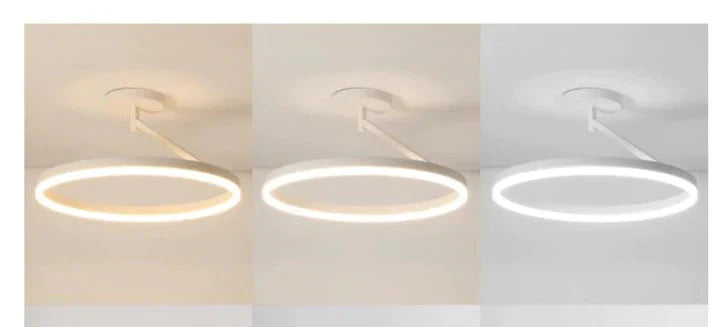 Black And White Led Ceiling Lamp Bedroom Modern Simple Living Room Net Red Round