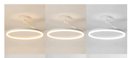 Black And White Led Ceiling Lamp Bedroom Modern Simple Living Room Net Red Round