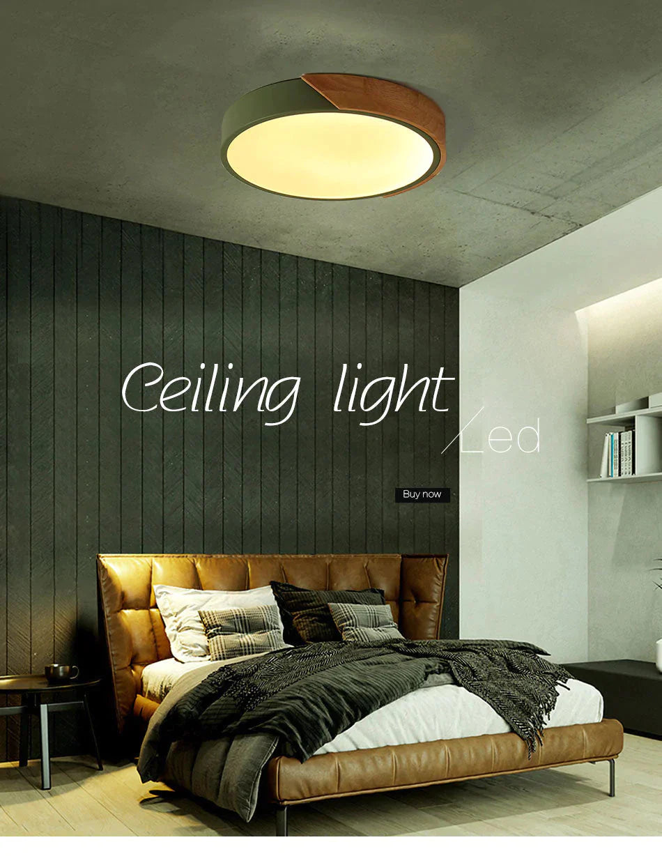 Jaiden - Modern Led Ceiling Light Surface Mount Flush Lamp Indoor Lighting Fixture Living Room