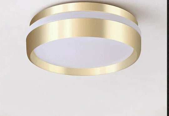 Mara - Modern Minimalist Gateway Round Gold Led Small Ceiling Lamp