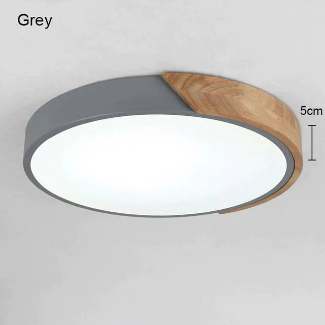 5Cm Ultra Thin Led Ceiling Lights For Living Room Dimmable Modern Lamp Nordic Bedroom Kids