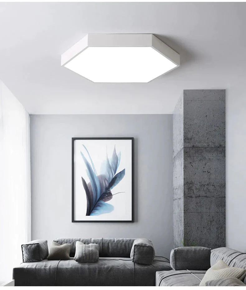 Luminaires Modern Led Ceiling Light For Living Room Bedroom Black&amp;White Simple Mounted Home Lamps