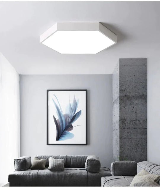 Luminaires Modern Led Ceiling Light For Living Room Bedroom Black&amp;White Simple Mounted Home Lamps