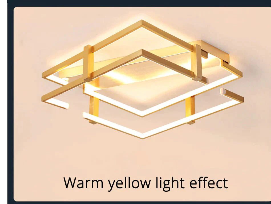 Ceiling Lights Gold Body Round/Square For Bedroom Living Room Remote Control Led Lamps