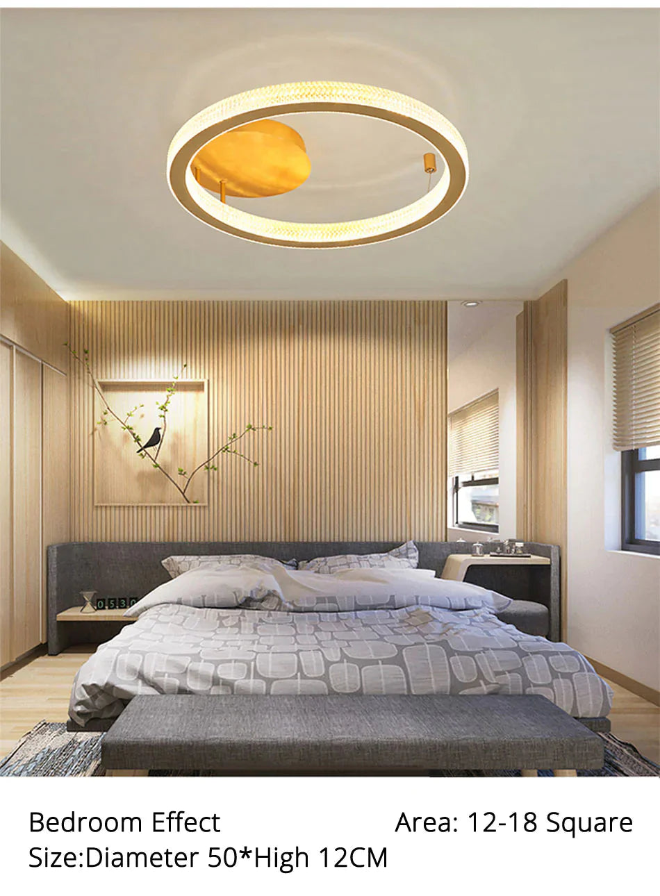 Gold/Coffee Color Ceiling Lights Bedroom Study Room Living Remote Control Surface Mounted Lighting