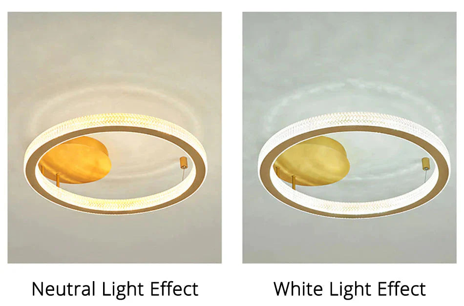 Gold/Coffee Color Ceiling Lights Bedroom Study Room Living Remote Control Surface Mounted Lighting