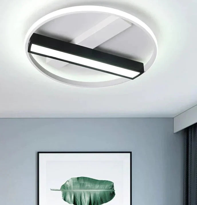 Remote Control Living Room Bedroom Ceiling Lights White And Black Iron Body Surface Mounted Led