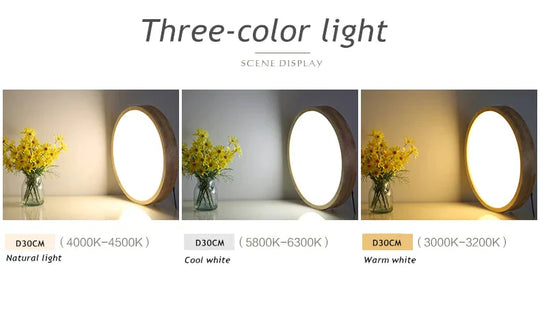 Led Ceiling Light Modern Lamp Panel Living Room Round Lighting Fixture Remote Control