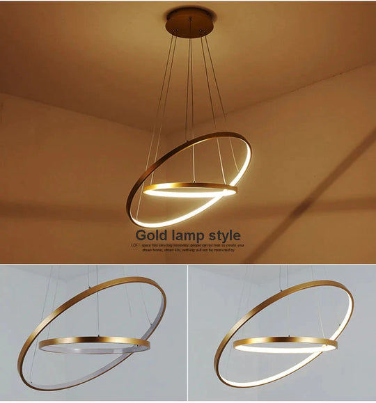 Modern Circle Rings Acrylic Aluminum Pendant Lights For Living Room Dining 2Ring 20 40Cm / Body