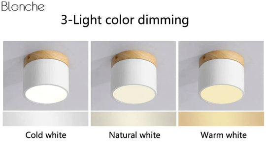 Nordic Ceiling Lights Modern Porch Aisle Corridor Led Lighting Fixtures
